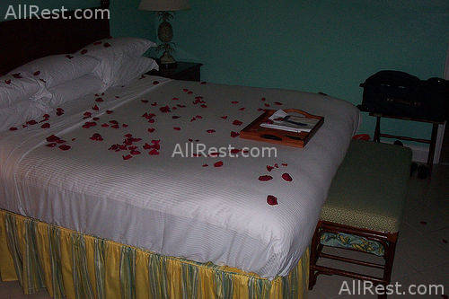 Ritz-Carlton Golf & Spa Resort 45